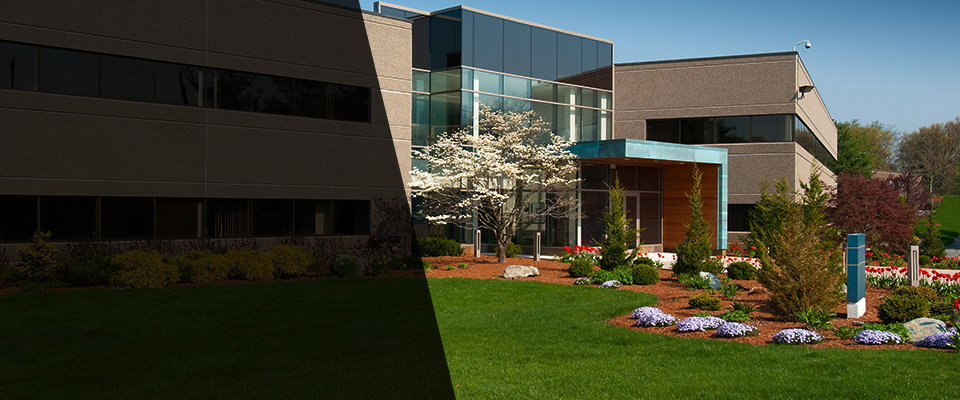 Floresville Landscapers