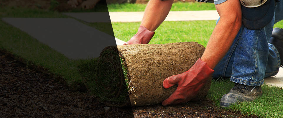 Floresville Landscapers